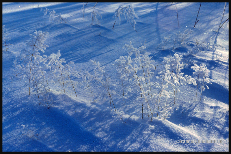 Neige et gelée blanche se combinent dans cette photo prise en 1976.