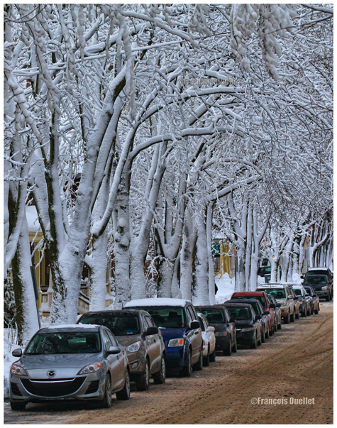 Une rue de la Ville de Québec après le passage d'une averse de neige.