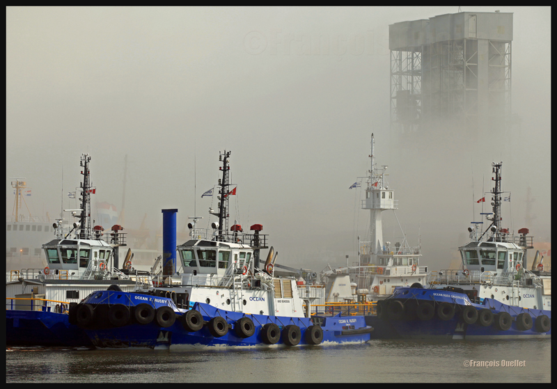 Les remorqueurs de la compagnie Ocean sont immobilisés par le brouillard dans le Bassin Louise à Québec en 2012