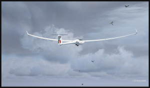 A DG-808S glider in flight with birds (fsx)