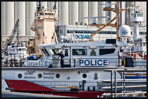 Busy morning in Bassin Louise, Quebec City, 2015