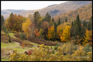 Tewkesbury, Québec 2015