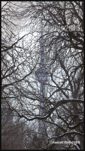 Toronto's nature and the CN Tower (2016)