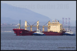 Effet de mirage froid. Navire et deux remorqueurs du groupe Ocean sur le St-Laurent approchant le Port de Québec, mai 2016