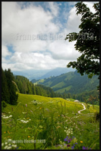 Path on the Moleson, Switzerland 2013