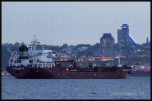 The vessel Sloman Herakles (St. John's) in front of Quebec City in 2016