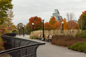 View of part of the National Gallery of Canada from a park in Ottawa during autumn 2015