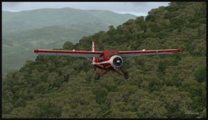 Le Otter dans les montagnes de la Nouvelle-Guinée, suivant la piste de Kokoda.