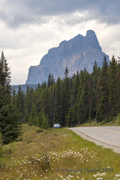 On the road to Lake Louise, Alberta 2018.