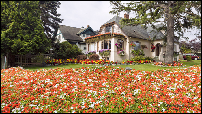 Traditional house with flowers in Victoria, British Columbia.