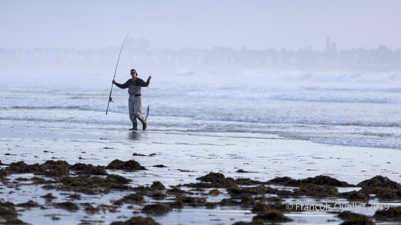 Pêcheur d'Ogunquit avec un Bar Rayé de l'Atlantique