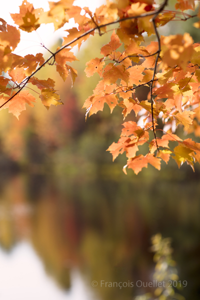 St-Gilles in autumn.