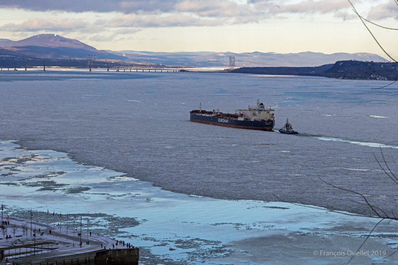 Oil tanker Euronav Cap Léon in 2019