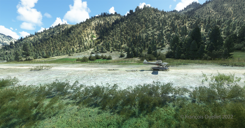 Un avion virtuel CubCrafters X Cub amphibie sur la piste de Lower Loon Creek C53 avec MSFS 2020.