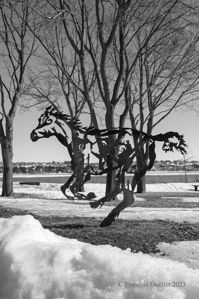 Sculpture de Joe Fafard photographiée au printemps à Québec.