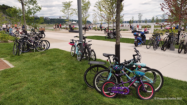 L'utilisation des arbres devient nécessaire pour immobiliser le trop grand nombre de vélos à la station de la Plage, Québec.