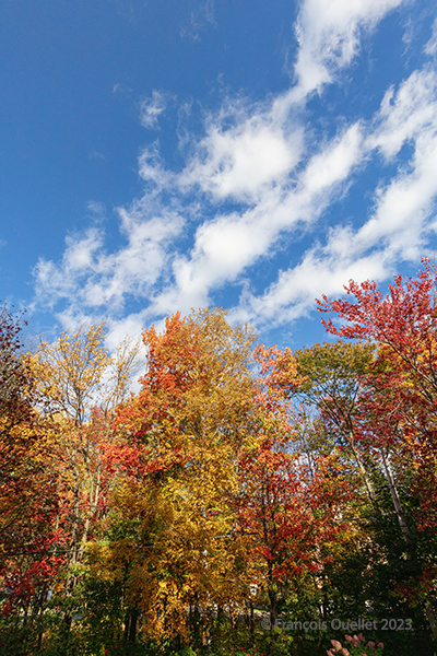 Fall landscape in Quebec City 2023