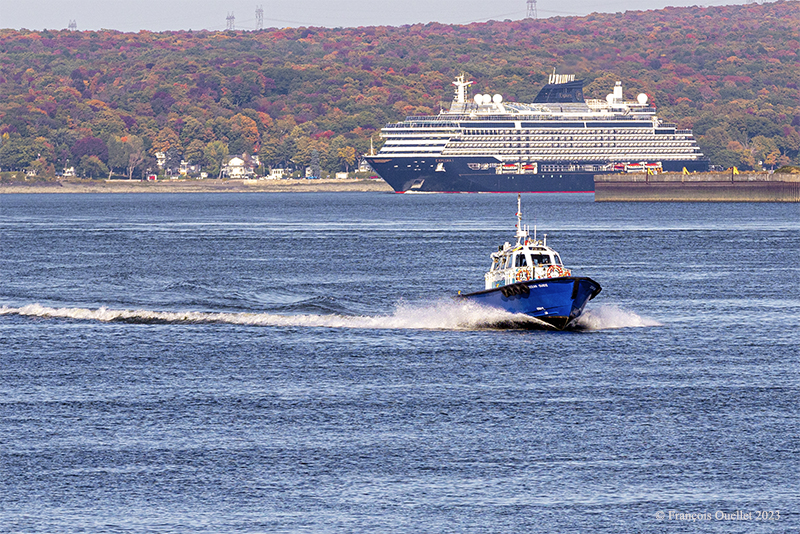 The Explora 1 cruise ship sails around île d'Orléans and a "pilote du Saint-Laurent" comes back to the Québec harbour in 2023.