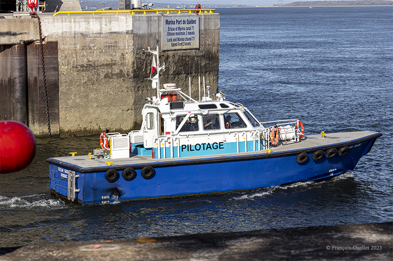 A "pilote du St-Laurent" leaves the Quebec harbour and heads towards the Explora 1 cruise ship in 2023.