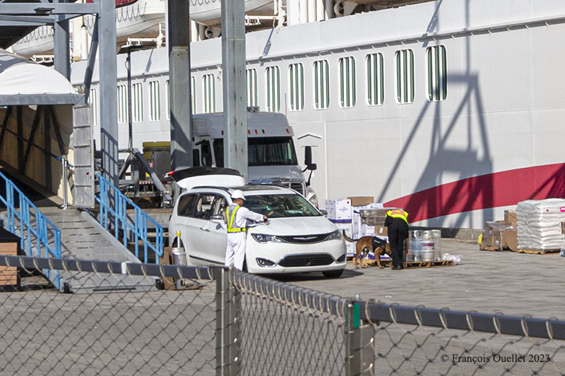 Looking for dangerous goods on the Norwegian Sky cruise ship in Quebec City