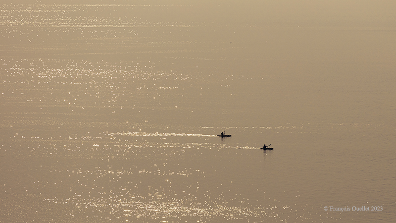 Activité de kayak de mer sur le St-Laurent près de Rivière-du-Loup.