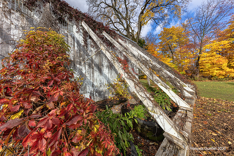 Autumn colors in the domaine Cataraqui in Quebec City, 2023.