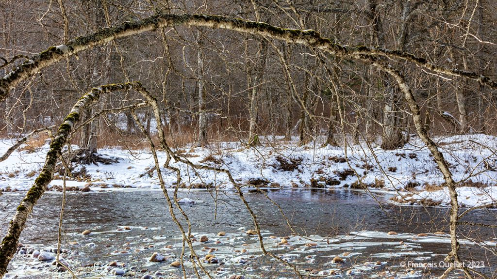 First accumulation of snow and ice of the river. Jacques-Cartier national park, Québec 2023.