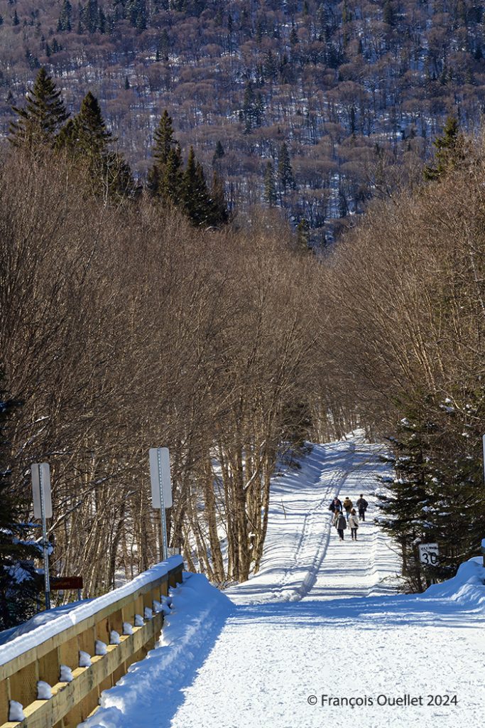 A group of students from Singapour on a trail in the Jacques-Cartier National Park winter 2024