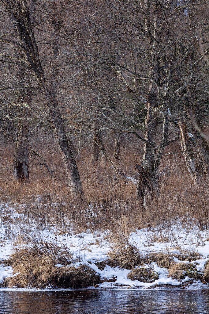 November in the Jacques-Cartier National Park in Quebec, 2023