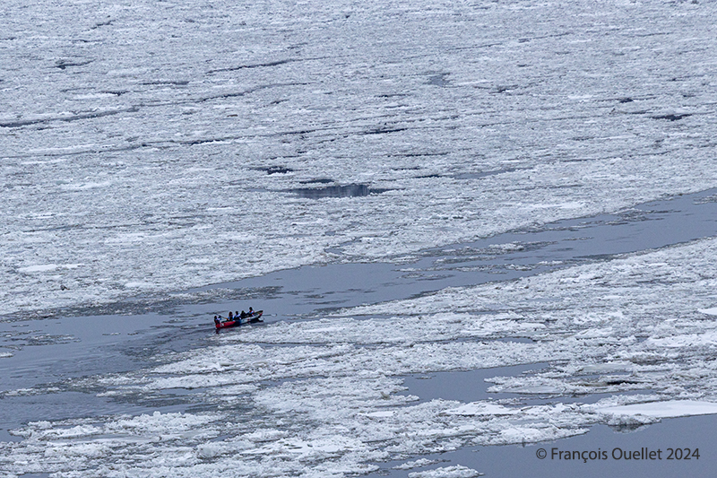 Practicing for the canoe race at the Quebec City Carnival 2024