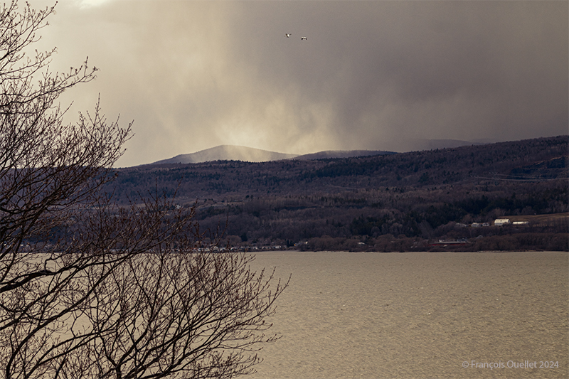 Looking north from île d'Orléans, Spring 2024.