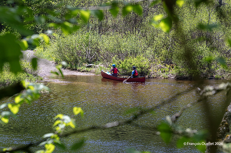 Canoeing on the Jacques-Cartier river in Québec 2024