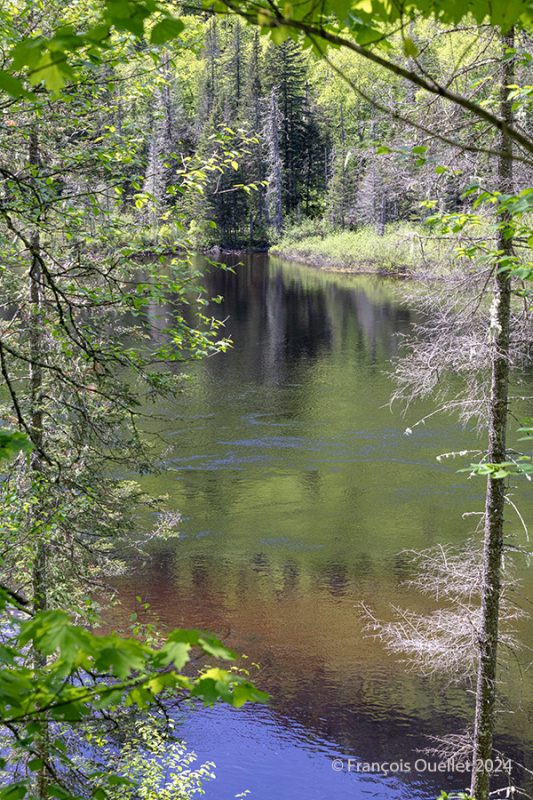 Nature in the Jacques-Cartier National Park in Québec.