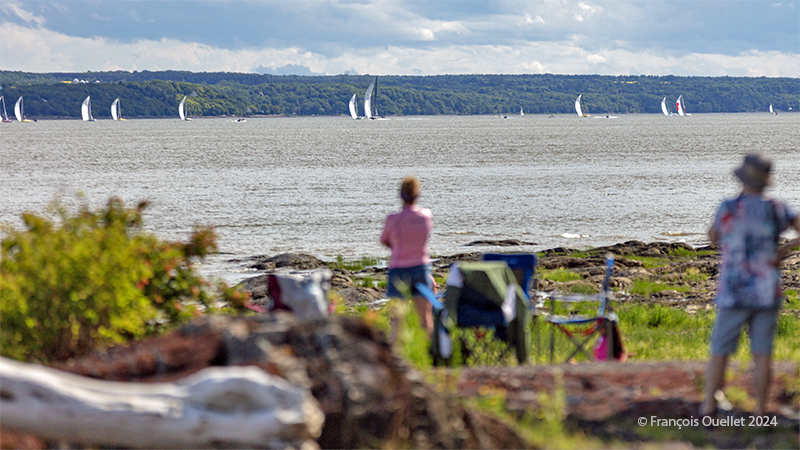 Des curieux observent la Transat Québec St-Malo 2024 à partir de l'île d'Orléans.