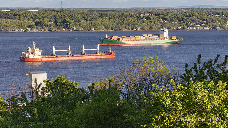 Les navires Federal Skye et Mona Lisa sur le fleuve St-Laurent près de Québec.