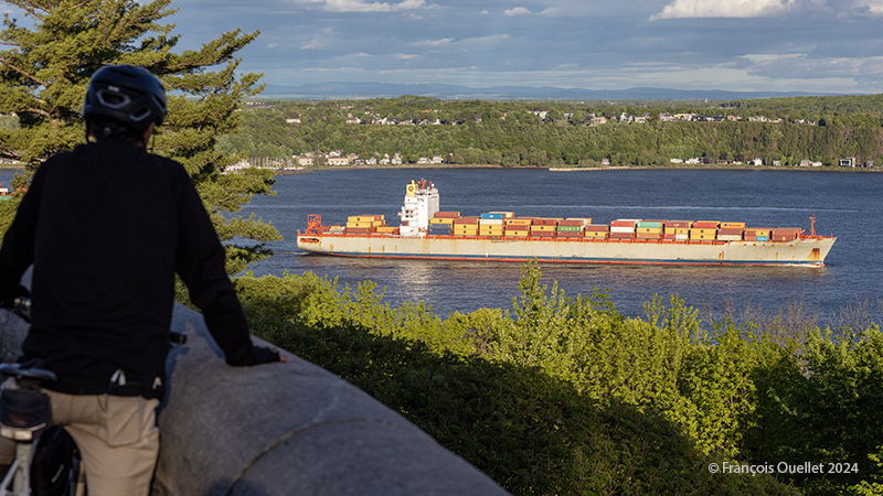 Le navire MSC Tampa devant Québec en 2024.