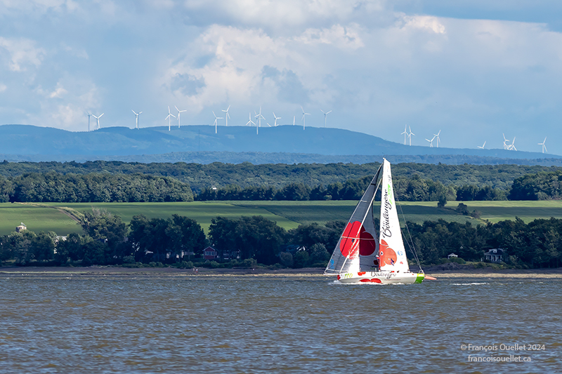 Voilier La Boulangère Bio sur le fleuve St-Laurent lors de la Transat Québec St-Malo en 2024