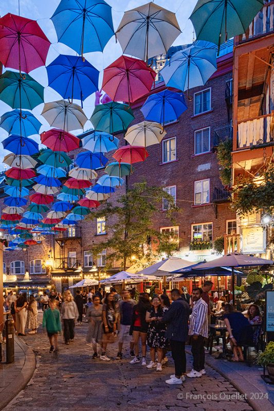 Series of colorful umbrellas in Old Quebec, 2024