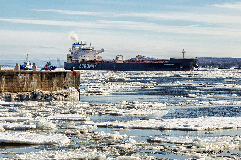 Le pétrolier Cap Pembroke près de Québec en avril 2026.