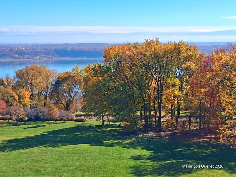 Vue des Plaines d'Abraham à partir de l'Espace Riopelle - Pavillon Michael Audain à Québec