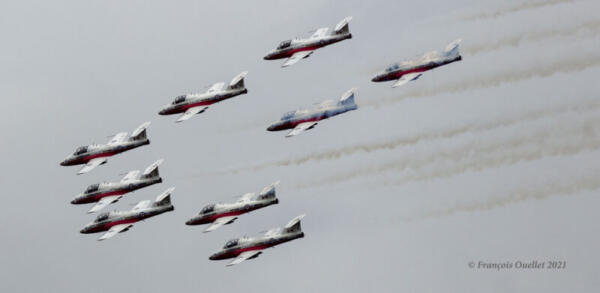 The Snowbirds passing by Québec City in June 2021.
