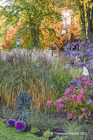 Autumn colors in the Parc Jeanne-d'Arc, in Quebec City.