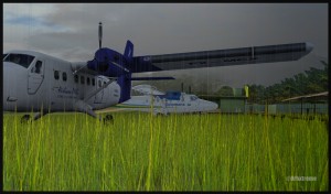 19812-Twin-Otter-bound-for-Kokoda-web (1)