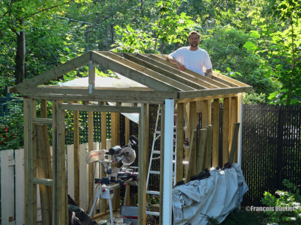 2009j-Shed-Structure-watermark-e1409861962507 (1)