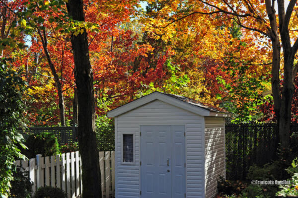 2009l-Shed-completed-watermark-e1409862201996 (1)