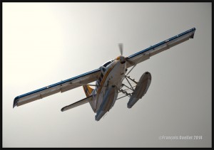 2014-C-FODH-DHC-3-Turbine-Otter-Harbour-Air-web             