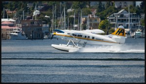 2014-DHC-3-Turbine-Otter-Harbour-Air-web             