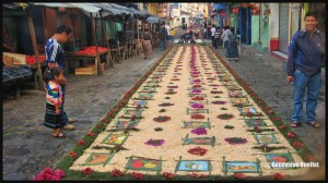 3899-Flower-carpet-in-San-Pedro-Guatemala-2014-web (1)