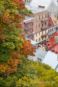 Autumn-colors-in-Old-Quebec-2018-web (1)  