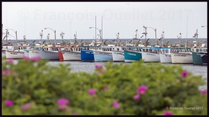 Bateaux-de-pêche-des-Îles-de-la-Madeleine-2017-web (1)       